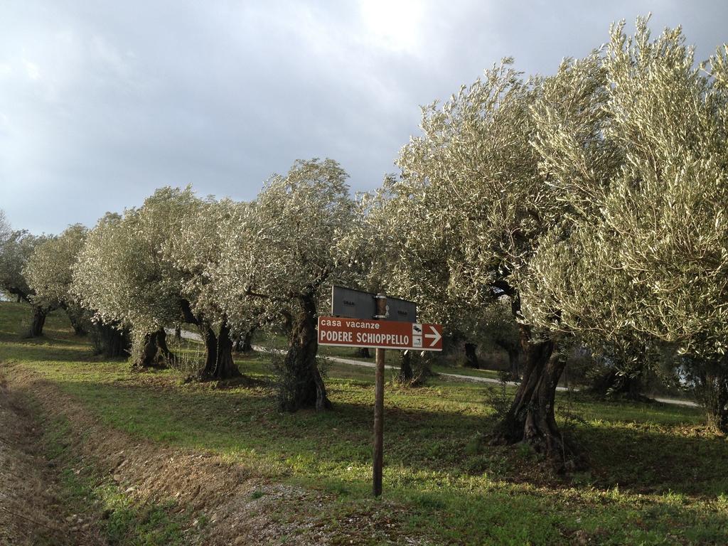 Podere Schioppello Casale Con Appartamenti Privati Cibottola Værelse billede