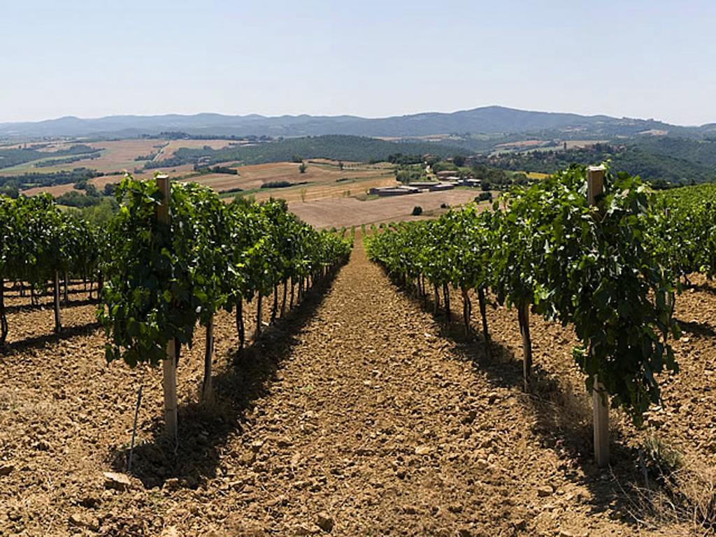 Podere Schioppello Casale Con Appartamenti Privati Cibottola Eksteriør billede