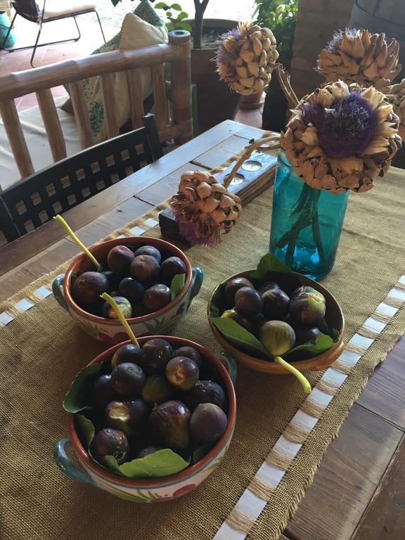 Podere Schioppello Casale Con Appartamenti Privati Cibottola Eksteriør billede