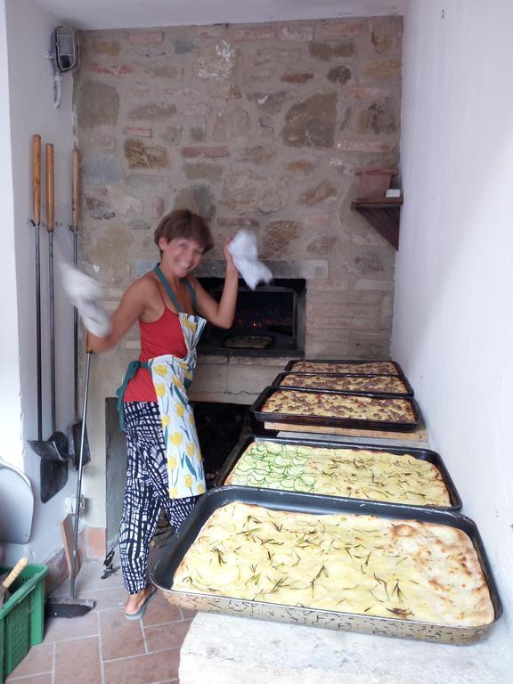 Podere Schioppello Casale Con Appartamenti Privati Cibottola Eksteriør billede